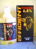 /album/photo-gallery-pagina-inicial/eficient-6-8-jpg/